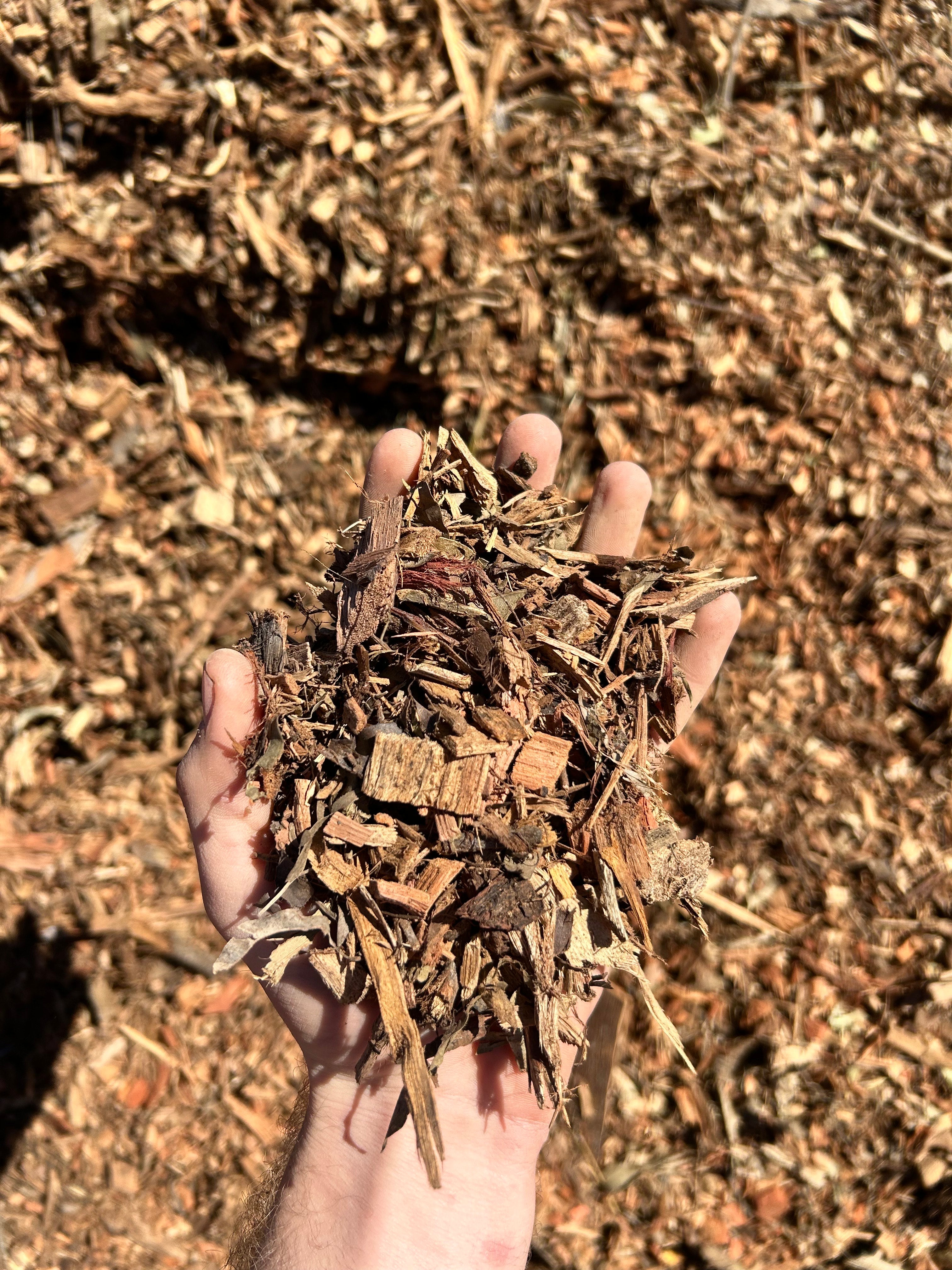 Forest Mulch