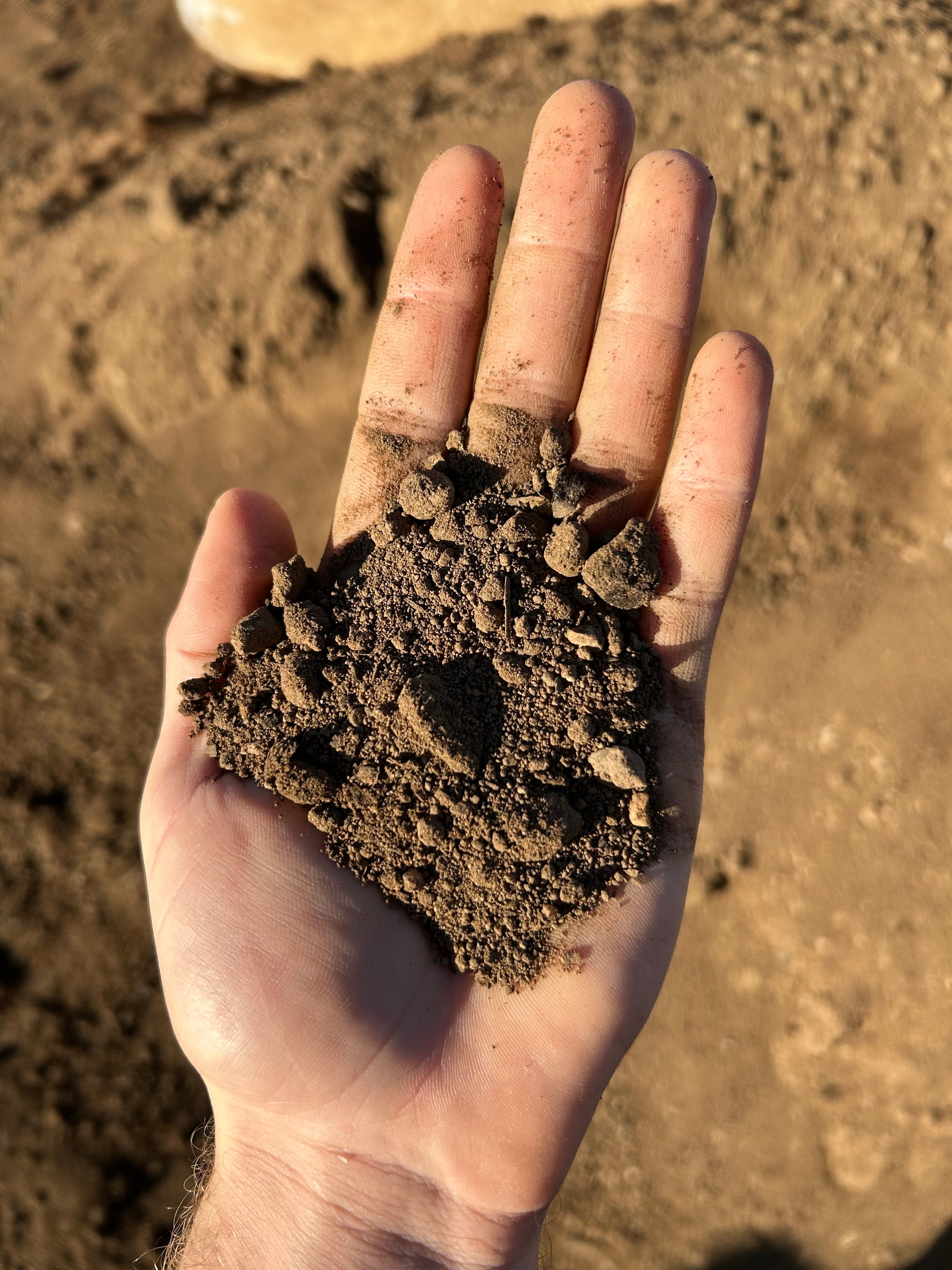 Organic Mix